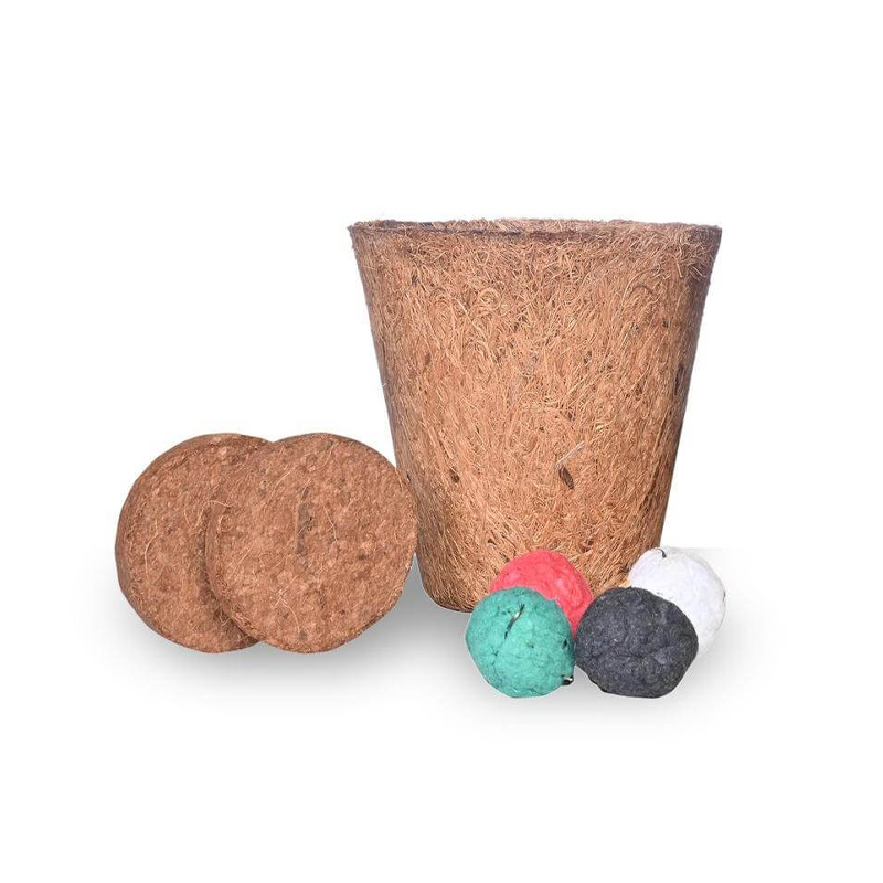 Grow Kit with Coir Pot 4 Seed Boom and 2 Coir Coins
